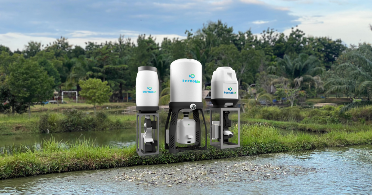 IoT Automated Feeder | Optimize Fish Feeding & Farm Productivity